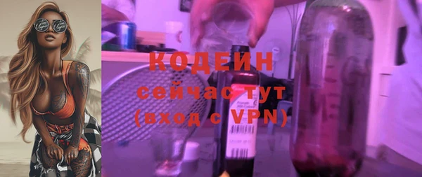 молекула духа Новодвинск