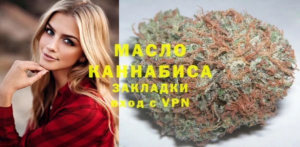 молекула духа Новодвинск