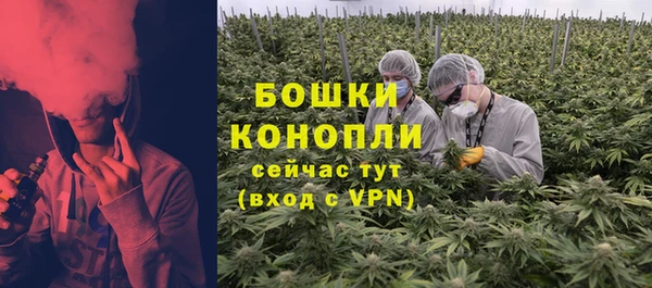 ALPHA-PVP Новозыбков