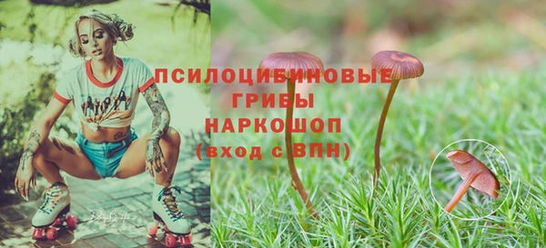 молекула духа Новодвинск