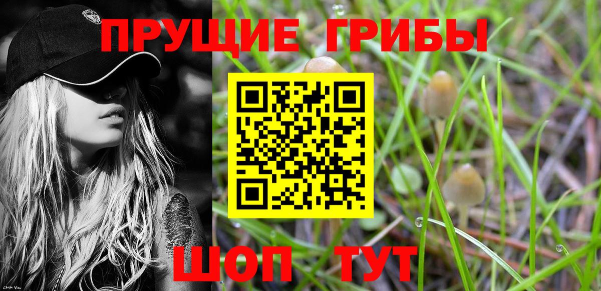 Балашов  Псилоцибиновые грибы мухоморы  Псилоцибиновые грибы мицелий  Вход с VPN 