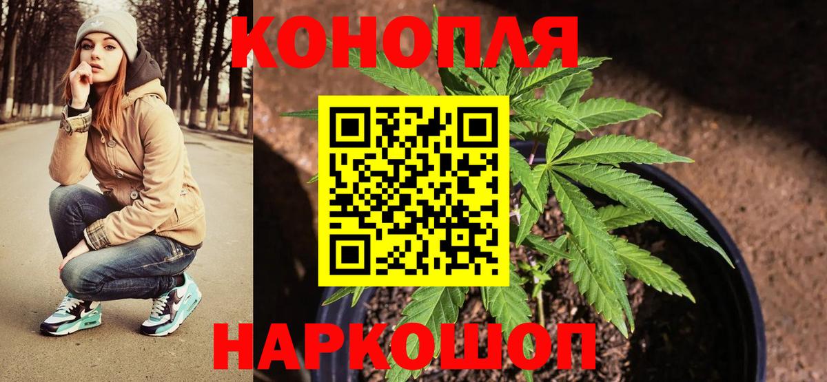 Каннабис марихуана  Бошки Шишки план  Балашов  Вход с VPN  Бошки Шишки семена 